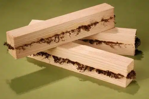 Présentation du soudage du bois Présentation du soudage du bois